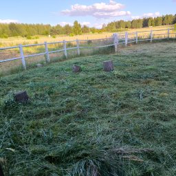 Dawdom Usługi Sprzątające - Świeżo skoszona trawa na działce z białym ogrodzeniem i trzema pniakami po wycince drzew, w tle las i błękitne niebo z chmurami.