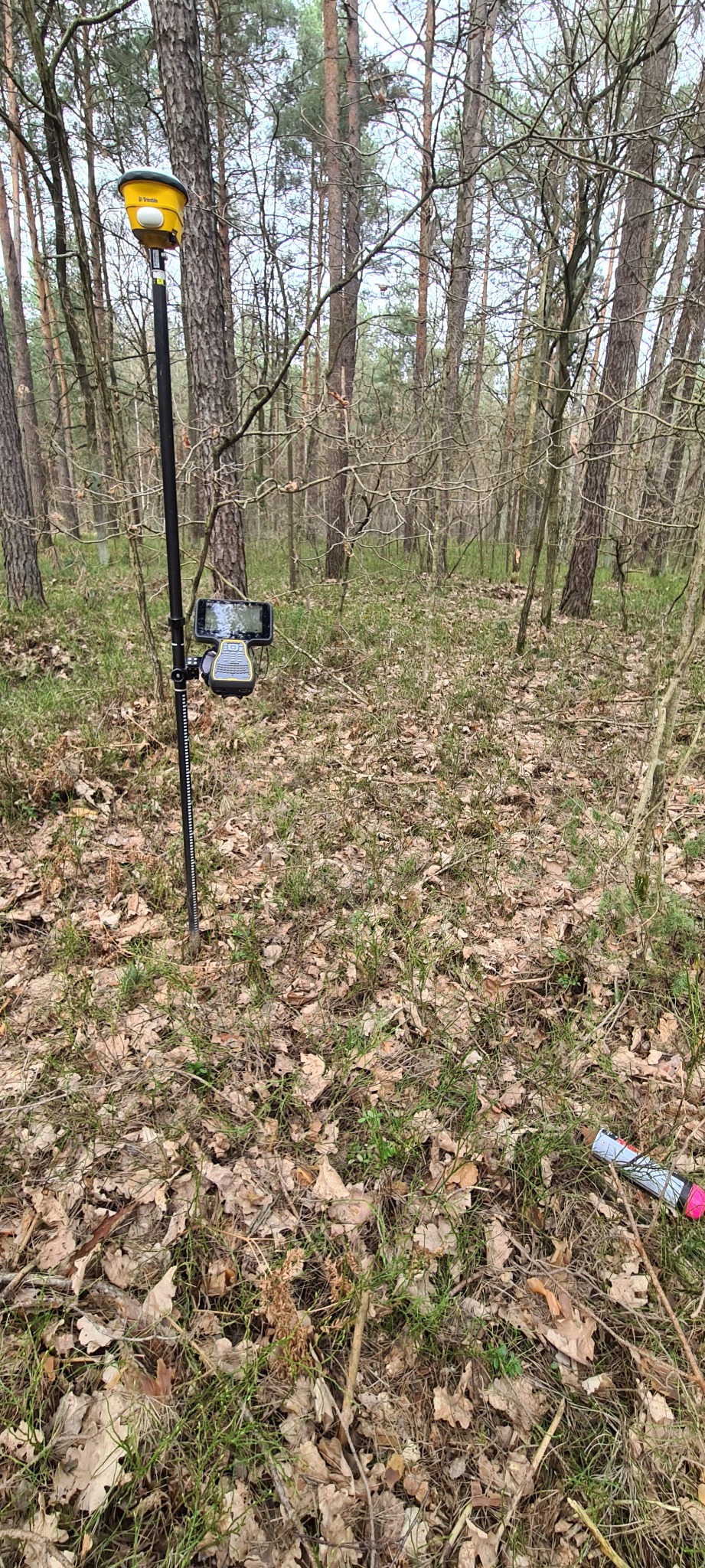 Żółty odbiornik GNSS zamontowany na tyczce geodezyjnej w lesie, otoczony opadłymi liśćmi i niską roślinnością.