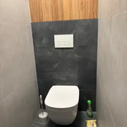 Nowoczesna toaleta w szaro-czarnej kolorystyce z drewnianą szafką nad spłuczką, widoczne akcesoria łazienkowe: szczotka do WC, płyn do czyszczenia i papier toaletowy.