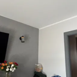 Szara ściana z dekoracyjnym tynkiem w salonie, biały sufit z listwą, widoczny fragment telewizora, bukiet kwiatów w wazonie i lampa ścienna.