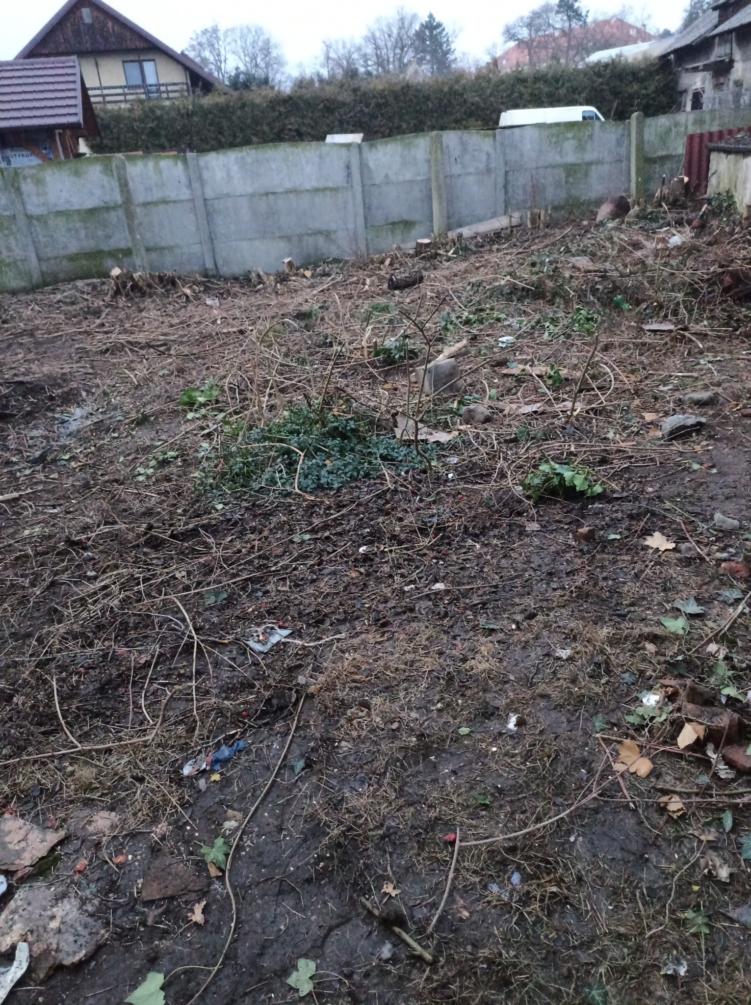 Teren po wycince drzew i krzewów, widoczne pnie i gałęzie, w tle betonowy płot i budynki.