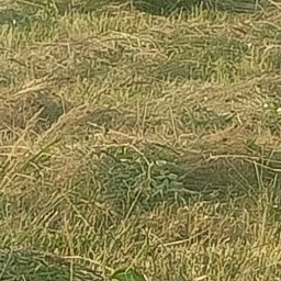 Układanie kostki brukowej Lisia Góra 4