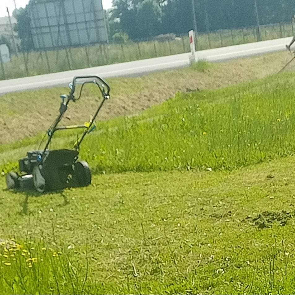 Elektryczna kosiarka do trawy z czarnym koszem na tle skoszonego trawnika, widoczna droga w oddali.