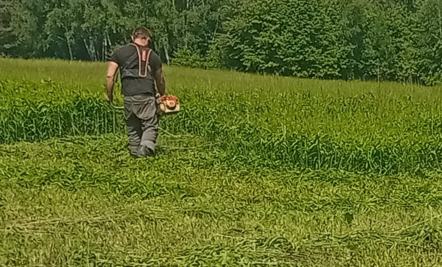 Mężczyzna w szelkach i słuchawkach ochronnych, oddalający się po skoszeniu wysokiej trawy na łące, z widocznym pasem skoszonej trawy i lasem w tle.