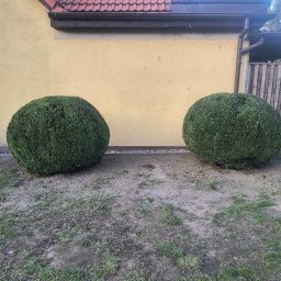 Pielęgnacja ogrodów Nowogard 2