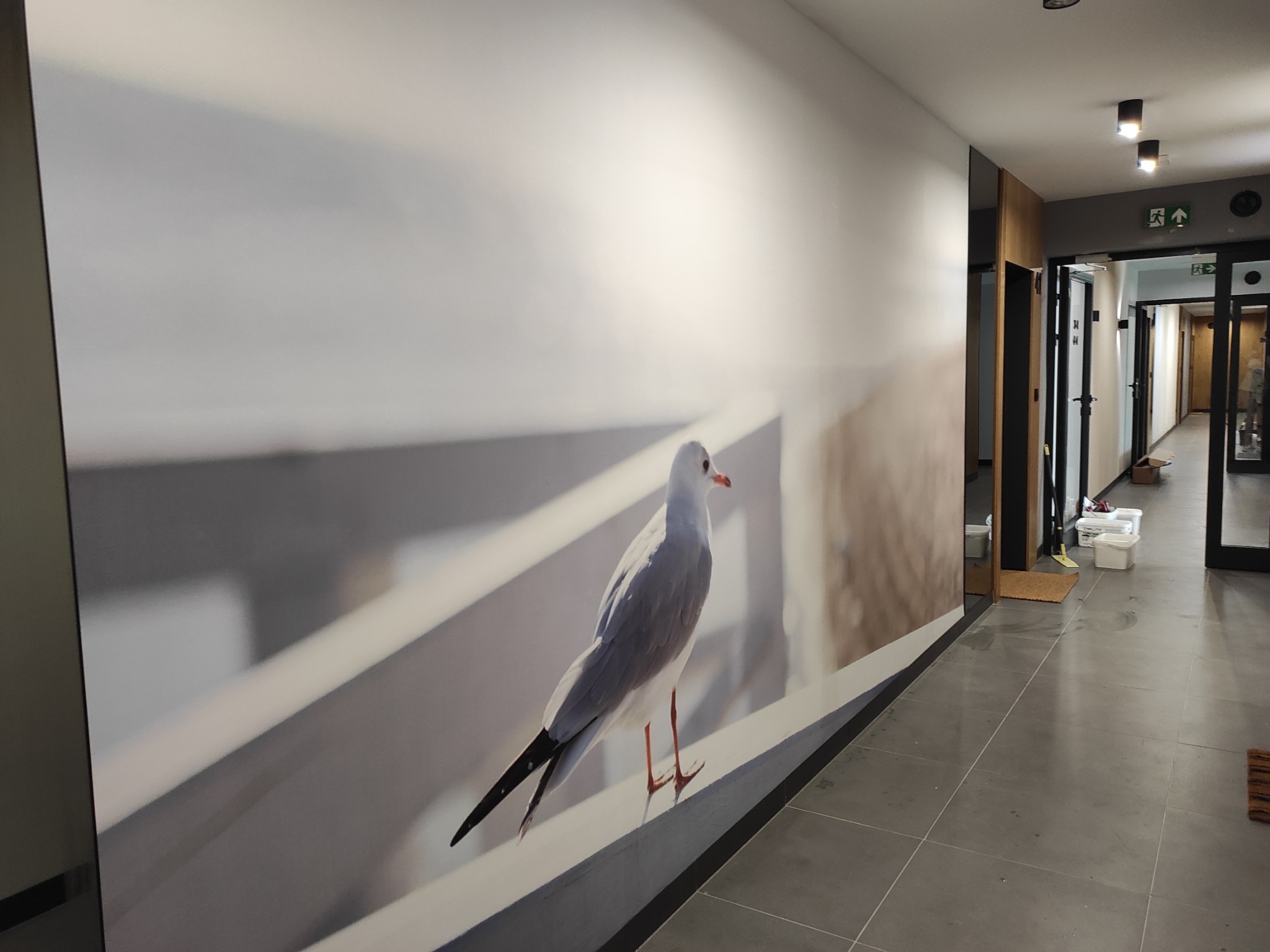 Fototapeta z motywem mewy na ścianie w korytarzu biurowym, szare płytki podłogowe i widoczne drzwi wejściowe w tle.