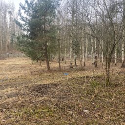 SoilCraft - Teren leśny z młodymi drzewami iglastymi i brzozami, ziemia pokryta suchą trawą i liśćmi, widoczne niebieskie fragmenty folii budowlanej.