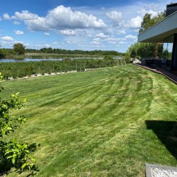 Koszenie trawy Olsztyn 1