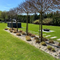 Koszenie trawy Olsztyn 3