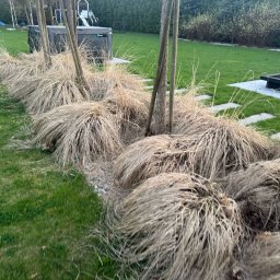 Koszenie trawy Olsztyn 4