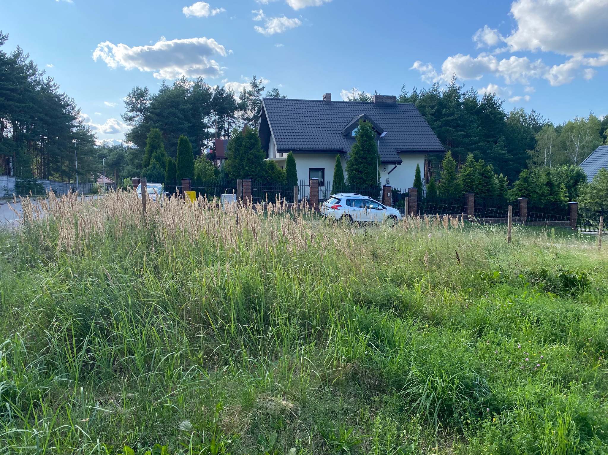 Niezadbane pole z wysoką trawą i chwastami przed ogrodzeniem posesji z domem jednorodzinnym w tle, widoczny samochód osobowy.