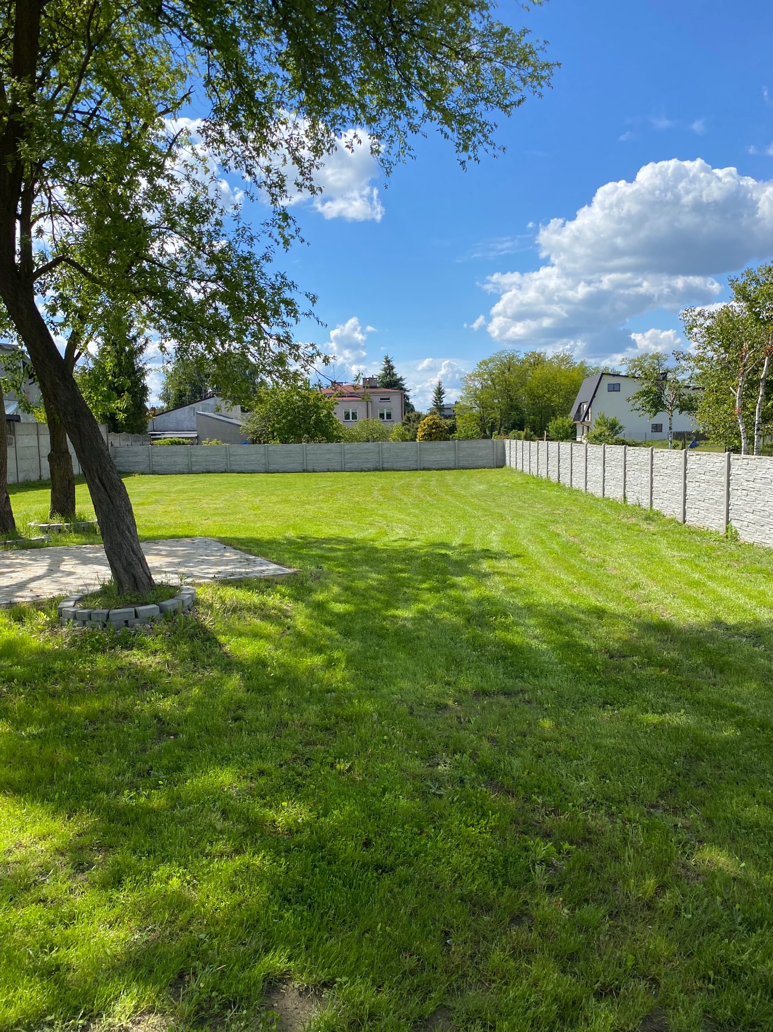 Zadbany trawnik otoczony betonowym ogrodzeniem panelowym. Widoczne drzewa z kostką wokół pnia. W tle domy jednorodzinne i błękitne niebo z chmurami.