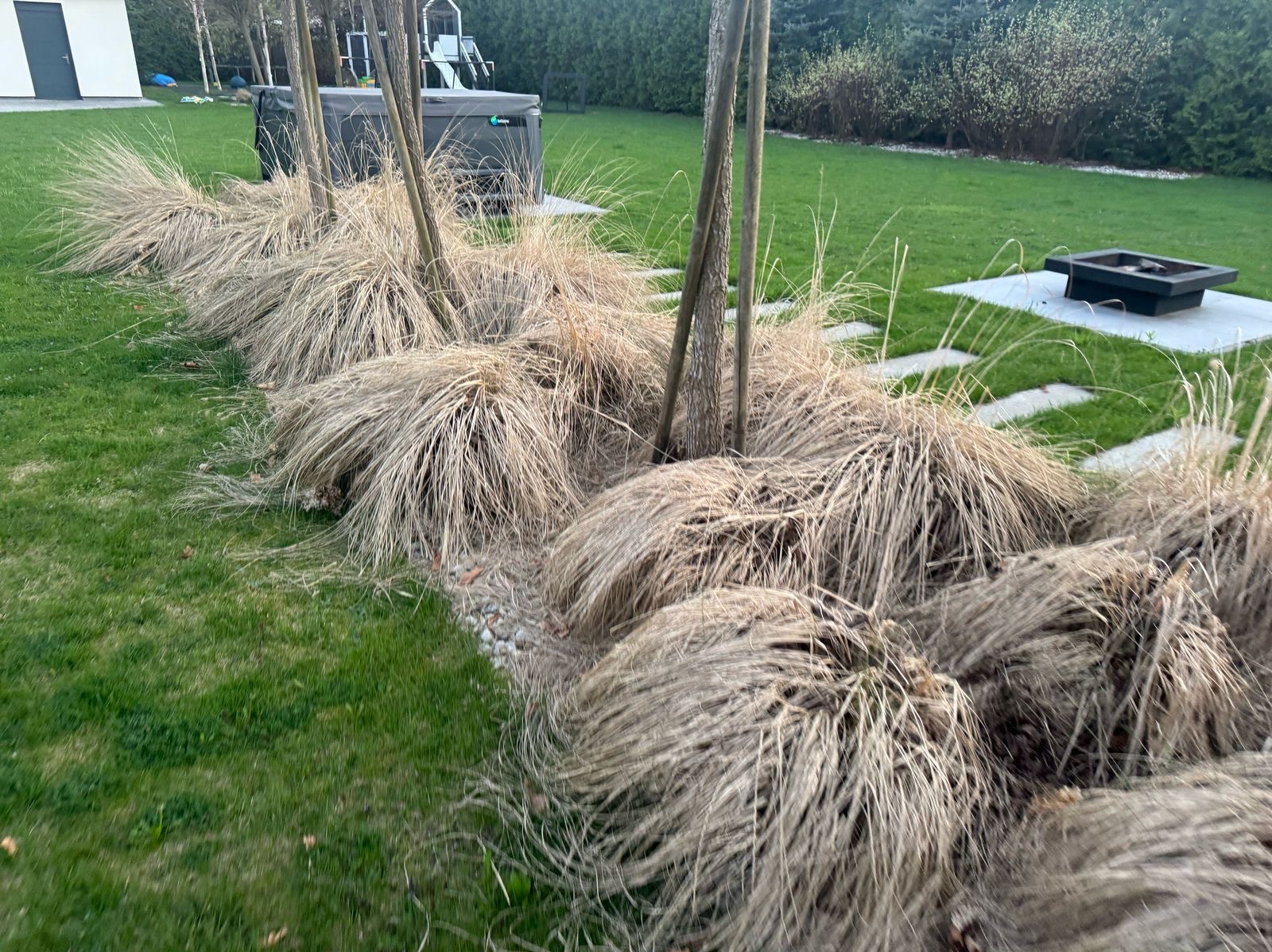 Ogród z ozdobnymi trawami wzdłuż ścieżki z kamyków, drzewa w tle, trawnik i jacuzzi. Elementy małej architektury ogrodowej.