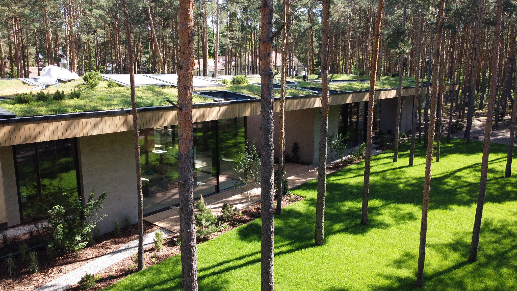 Nowoczesny dom jednokondygnacyjny z zielonym dachem, otoczony lasem sosnowym. Duże okna od podłogi do sufitu. Elementy wykończeniowe z drewna. Zadbany trawnik.