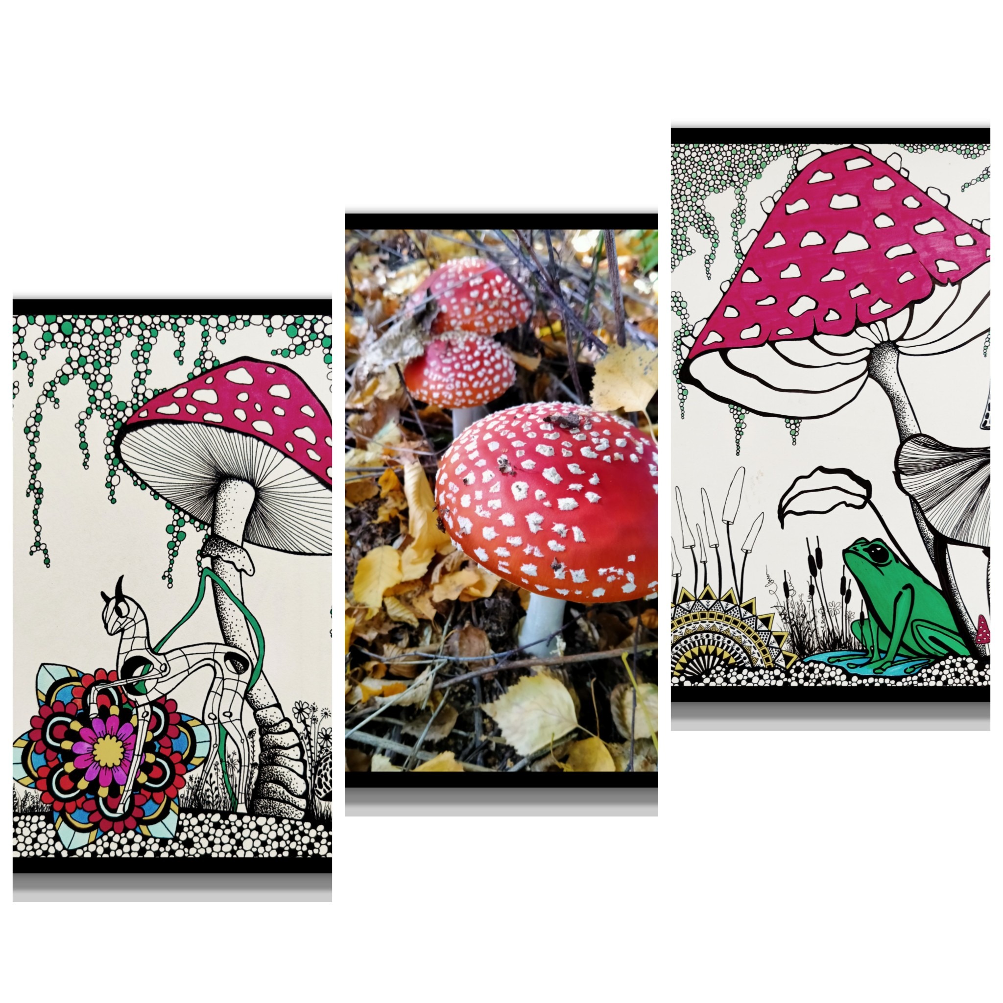 Tryptyk przedstawiający muchomory: środkowe zdjęcie to fotografia prawdziwych grzybów w lesie, a dwa boczne to grafiki z elementami fantasy, w tym żaba i fantazyjne zwierzę.