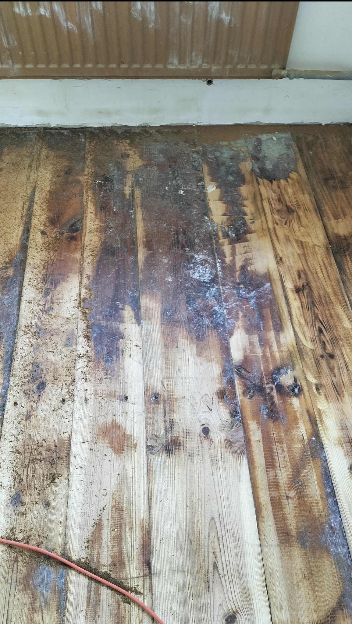 Stare, drewniane deski podłogowe z widocznymi śladami wilgoci i zabrudzeń, przygotowane do renowacji. Fragment czerwonego kabla w rogu kadru.