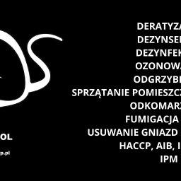 Dezynsekcja i deratyzacja Sochocin 1