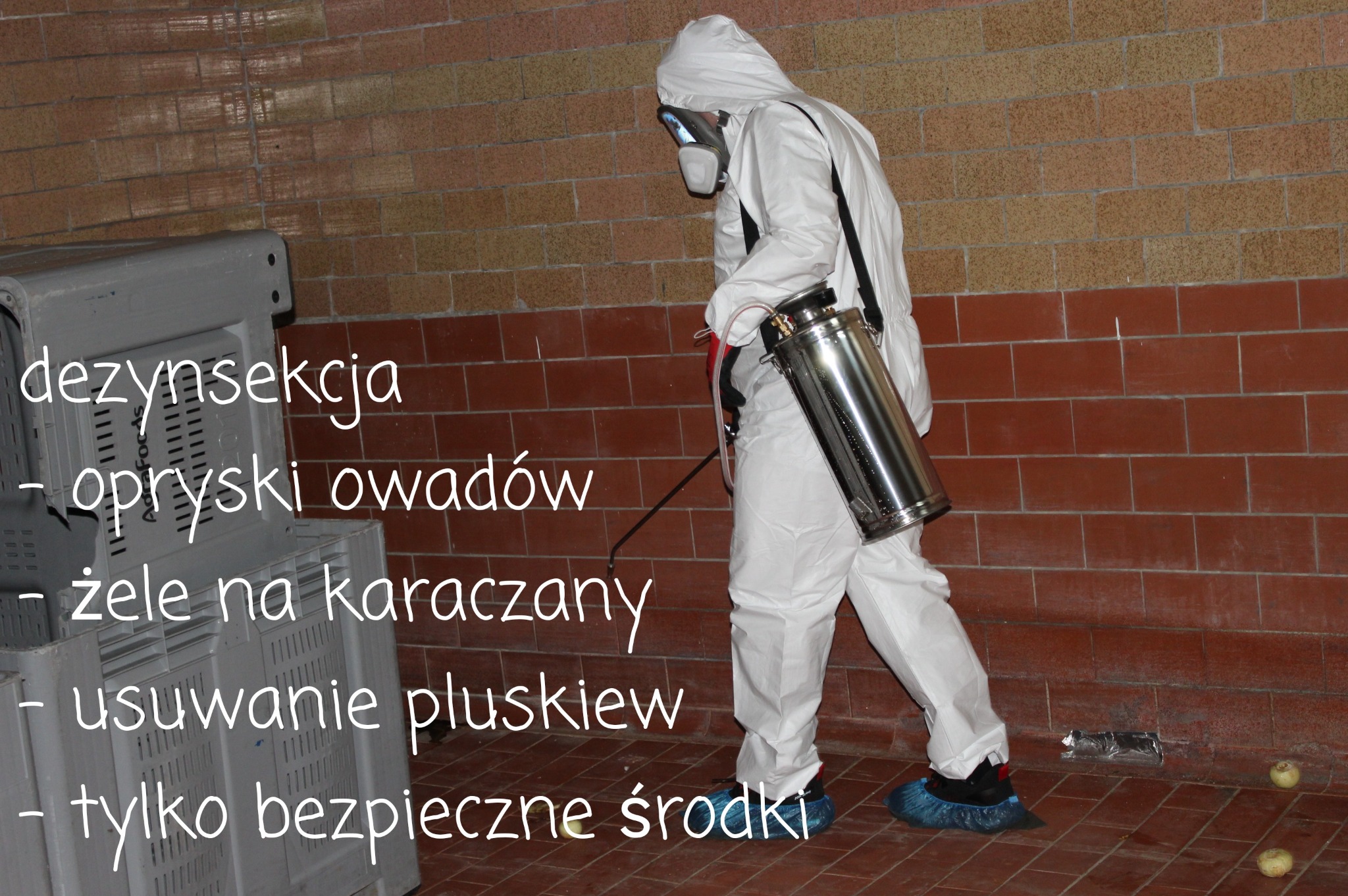 Pracownik w kombinezonie ochronnym i masce opryskuje pomieszczenie za pomocą metalowego opryskiwacza ciśnieniowego, obok stoją plastikowe skrzynki, na podłodze leżą dwie kulki i opakowanie po środku.