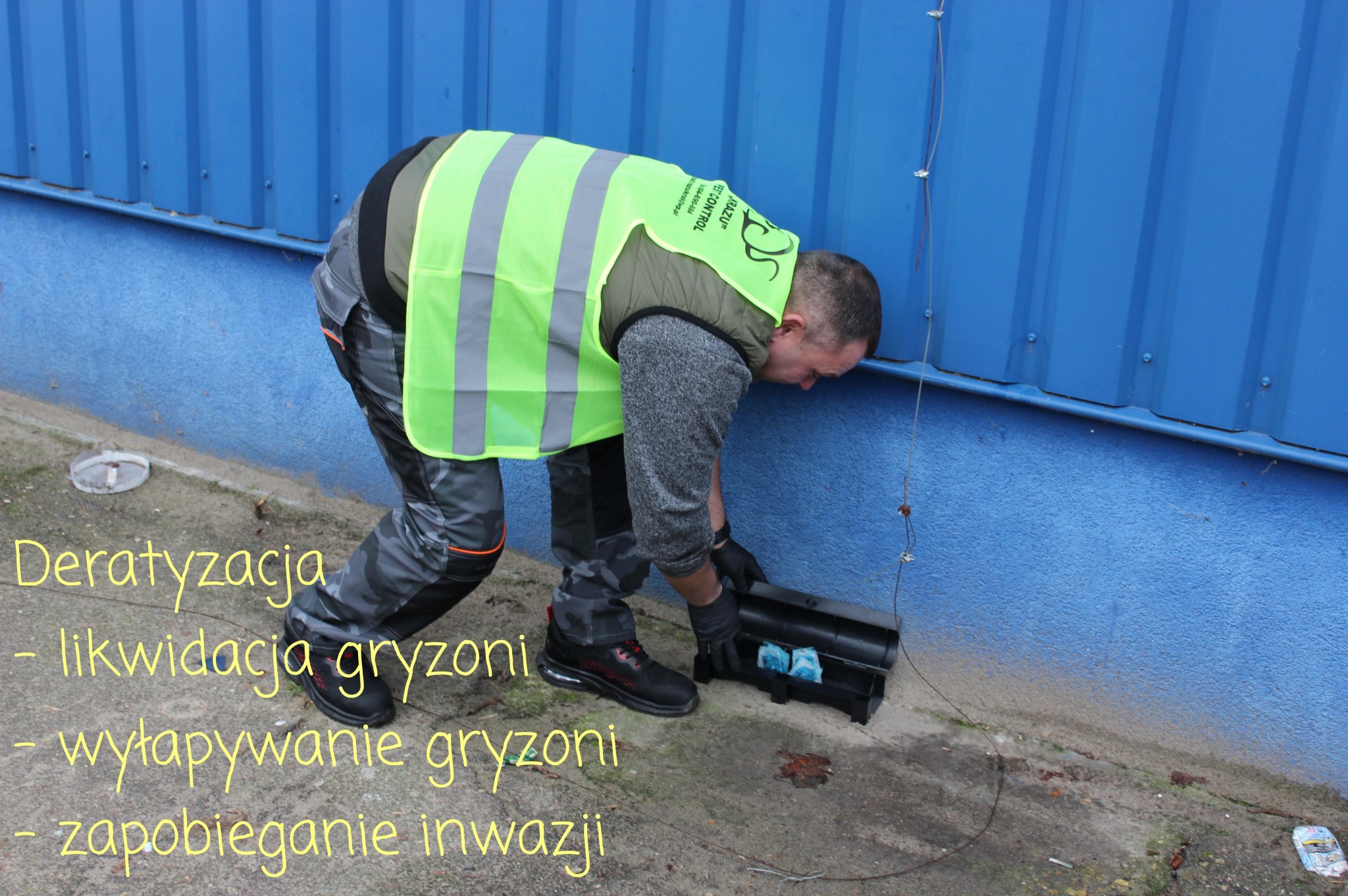Pracownik w kamizelce odblaskowej wkłada trutkę do czarnej karmnik deratyzacyjnej przy niebieskiej ścianie budynku.