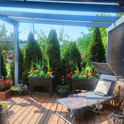 SZKŁO & ALU - Zadaszenie szklane ze szkła antisol grafit 8 mm na drewnianej konstrukcji