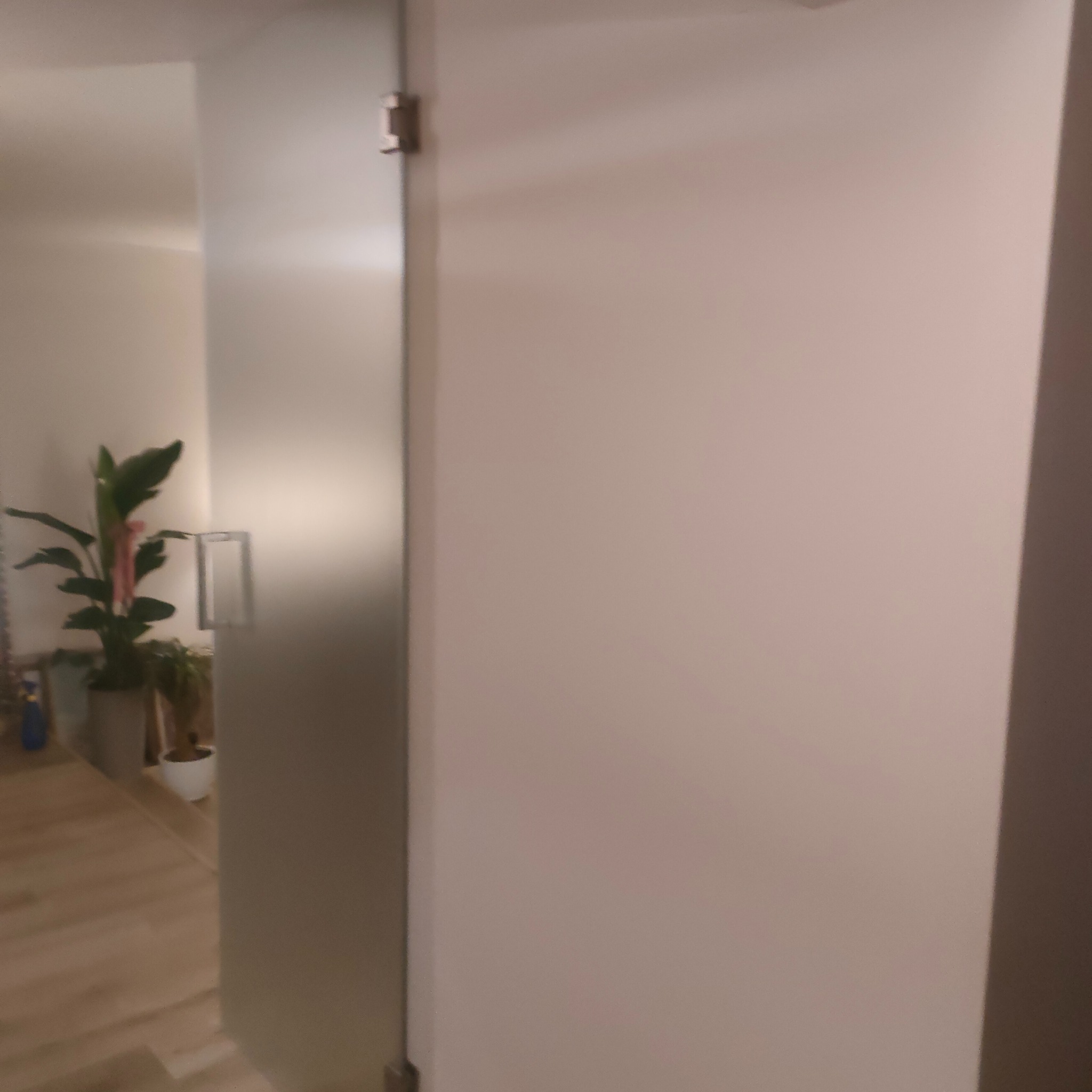 Przesuwne drzwi szklane z matowego szkła z minimalistycznym, prostokątnym uchwytem, widoczne z boku, w tle rośliny doniczkowe i drewniana podłoga.