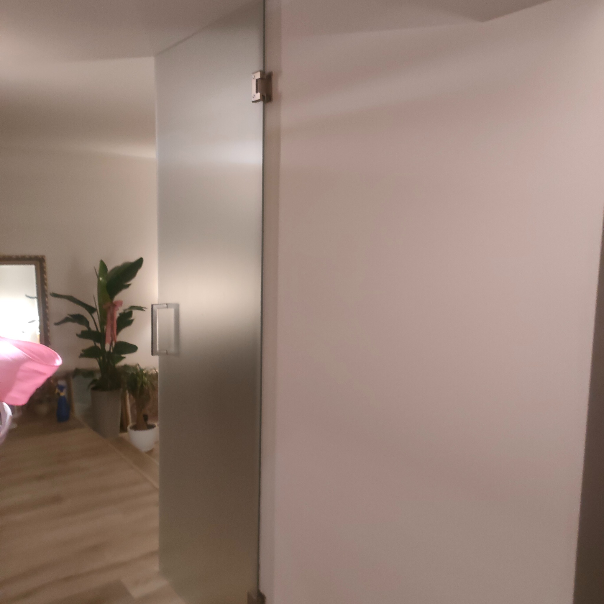 Przesuwne drzwi szklane z minimalistycznym uchwytem, zamontowane w mieszkaniu w Toruniu, widoczne z boku na tle białej ściany i fragmentu wnętrza z roślinami.