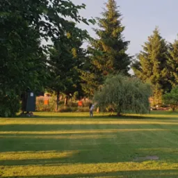 Rozległy, równo skoszony trawnik w przydomowym ogrodzie, z widocznymi drzewami iglastymi w tle, małą postacią ludzką w oddali, oraz fragmentem trampoliny w lewym dolnym rogu.