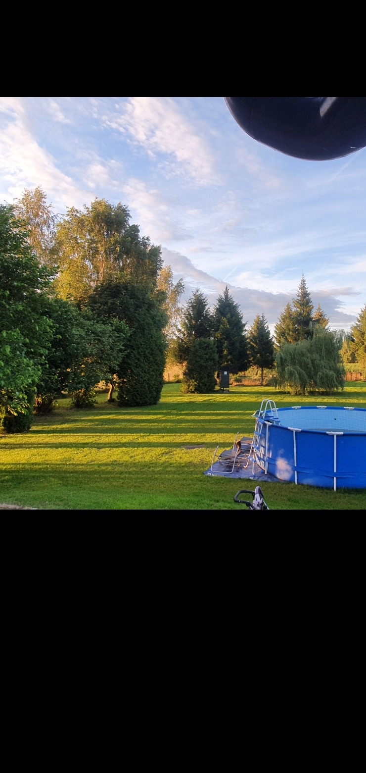 Przydomowy ogród z równo przystrzyżonym trawnikiem, drzewami iglastymi i liściastymi oraz rozłożonym basenem stelażowym z drabinką w słoneczny dzień.