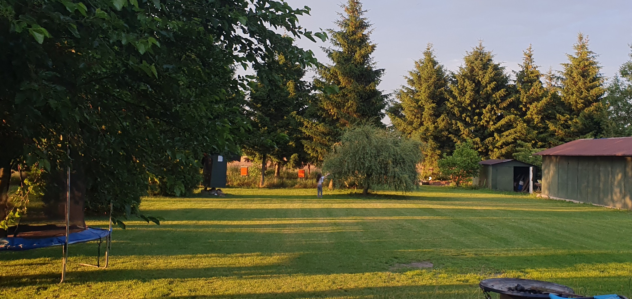 Rozległy, równo skoszony trawnik w przydomowym ogrodzie, z widocznymi drzewami iglastymi w tle, małą postacią ludzką w oddali, oraz fragmentem trampoliny w lewym dolnym rogu.