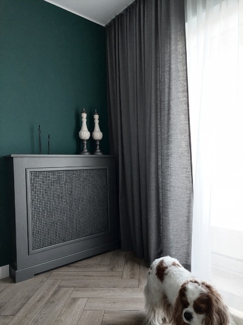 Szare zasłony wpadające na podłogę z parkietem w jodełkę, osłona grzejnika z rattanową wstawką, ciemnozielona ściana i pies rasy Cavalier King Charles Spaniel w rogu pokoju.