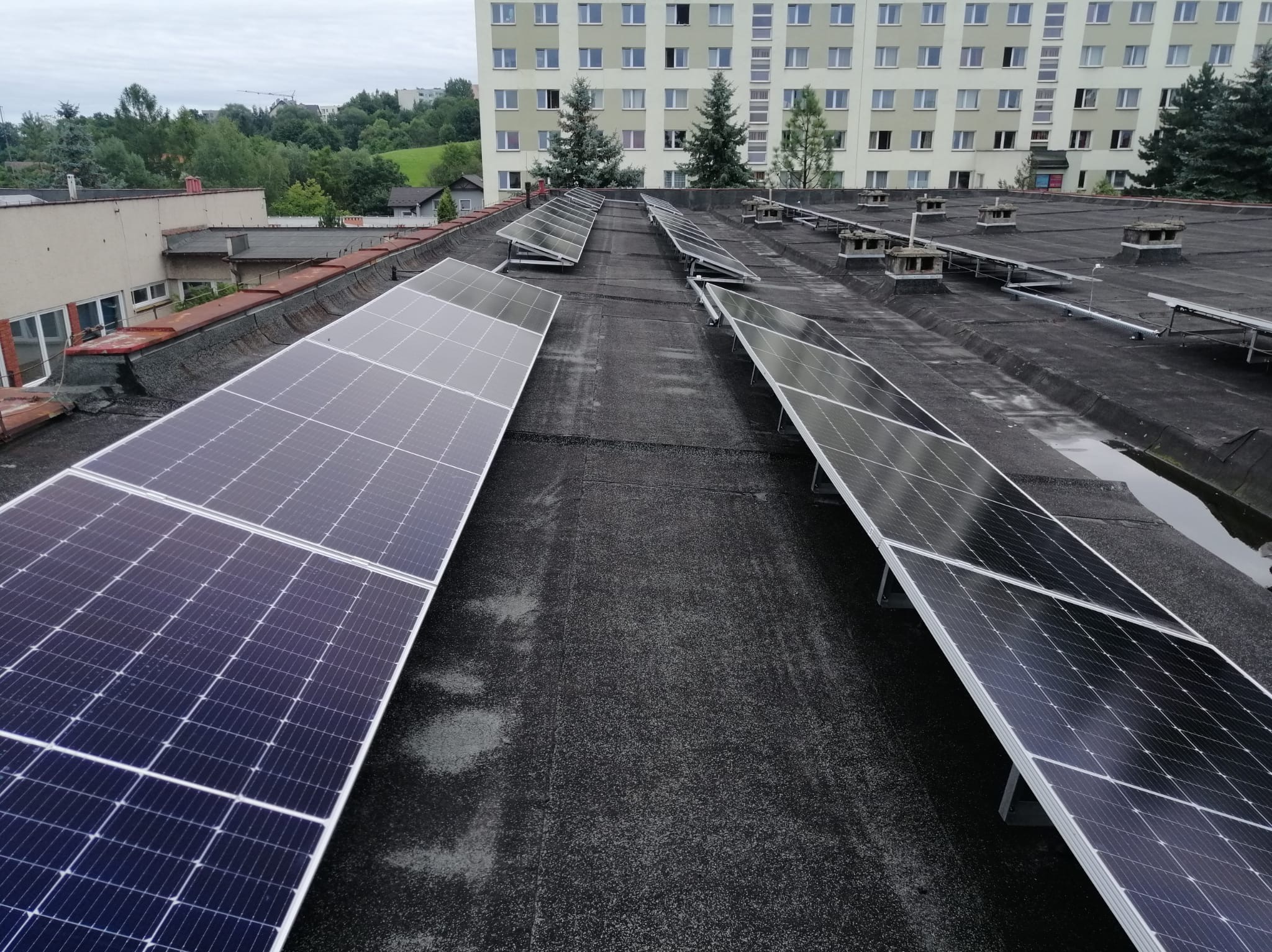 Rzędy paneli słonecznych zamontowane na płaskim, bitumicznym dachu budynku, w tle widoczny blok mieszkalny i zieleń.