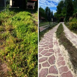 CLEANOX - Mycie dach&oacute;w Tarnobrzeg