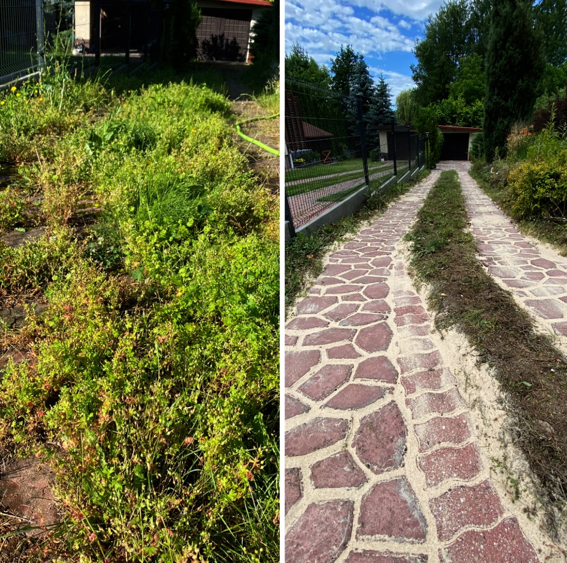 Porównanie: Zarośnięta kostka brukowa przed i po usunięciu chwastów, ukazująca efekt czyszczenia. Widoczna różnica w wyglądzie nawierzchni.