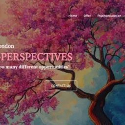 www.new-perspectives.co.uk
