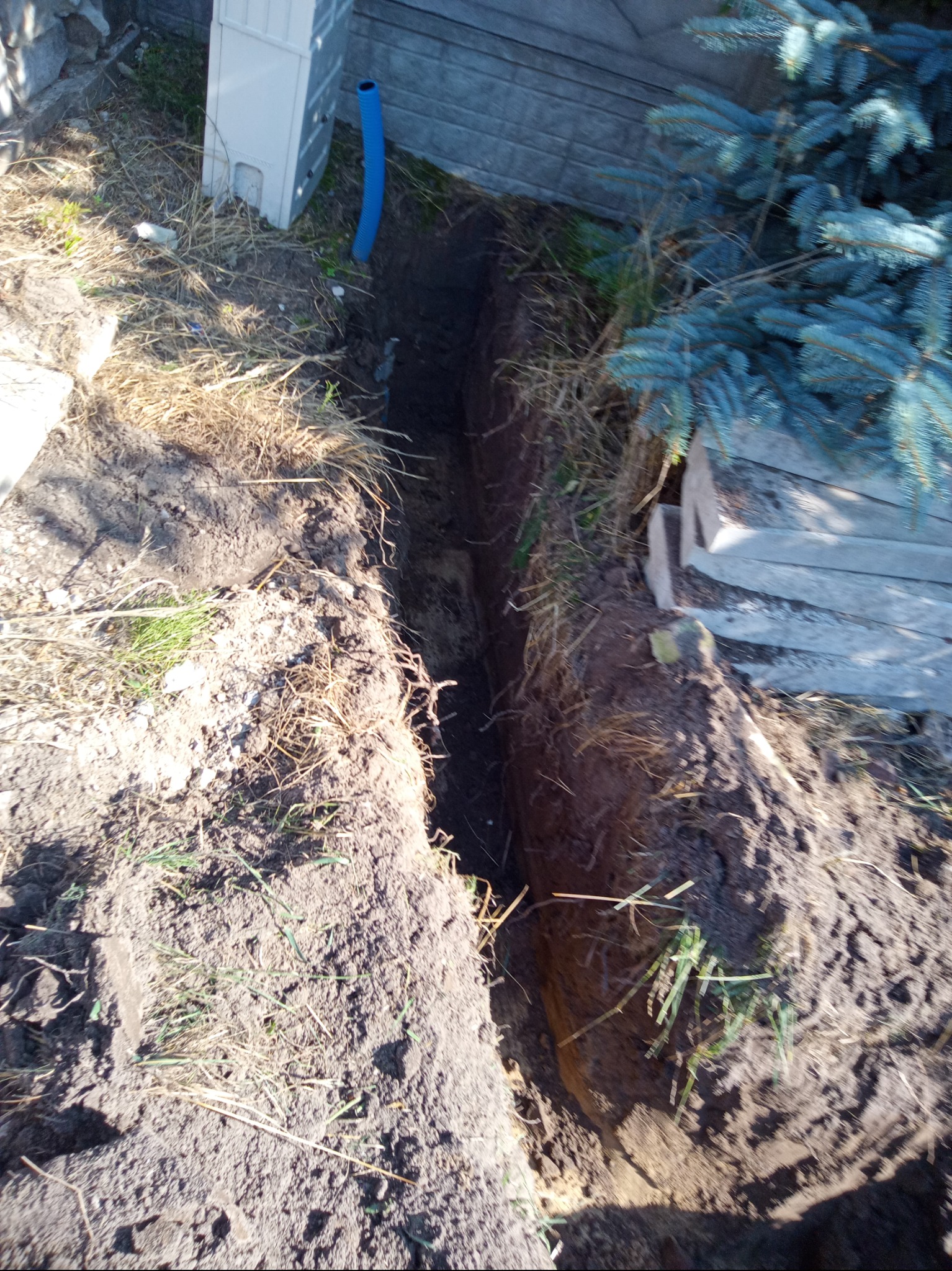 Wykop w ziemi z niebieską rurą karbowaną, prawdopodobnie pod kabel elektryczny, widoczne korzenie i trawa na brzegach wykopu, obok biała skrzynka i betonowe panele ogrodzeniowe.