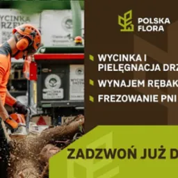 Pracownik w kasku tnie piłą spalinową drewno. Za nim rębarka z logo firmy. Reklama usług: wycinka, pielęgnacja, wynajem rębaka, frezowanie pni.