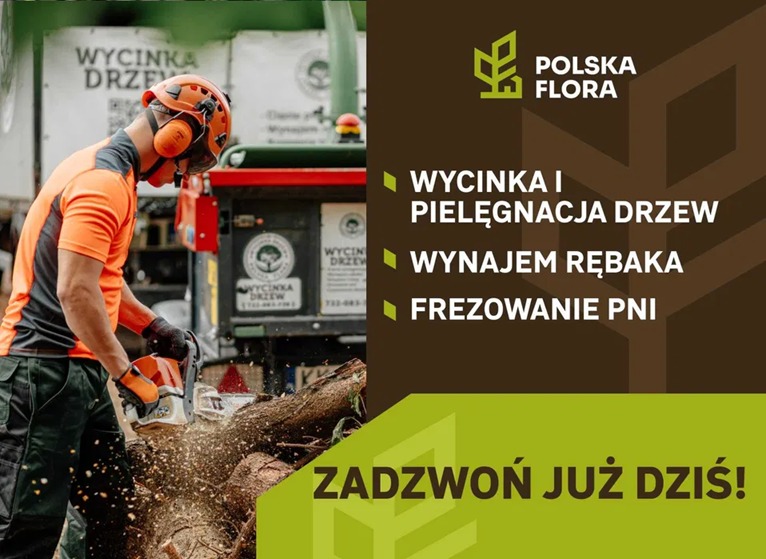 Pracownik w kasku tnie piłą spalinową drewno. Za nim rębarka z logo firmy. Reklama usług: wycinka, pielęgnacja, wynajem rębaka, frezowanie pni.