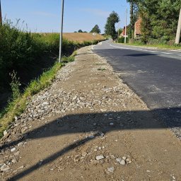 Wycinka drzew Wałbrzych 3