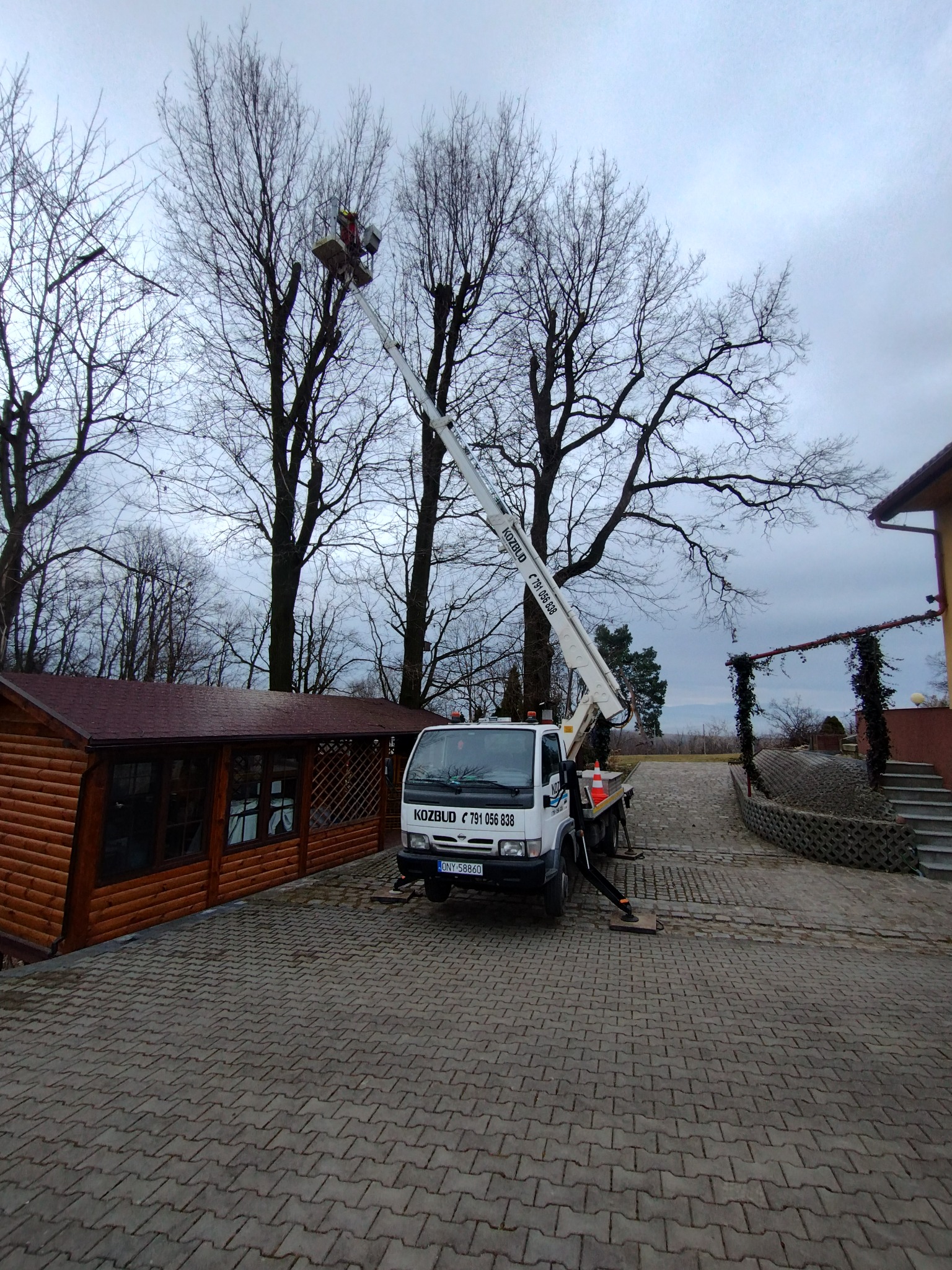 Pracownik w koszu podnośnika na wysięgniku, przycina gałęzie wysokiego drzewa, na tle pochmurnego nieba i zabudowań.
