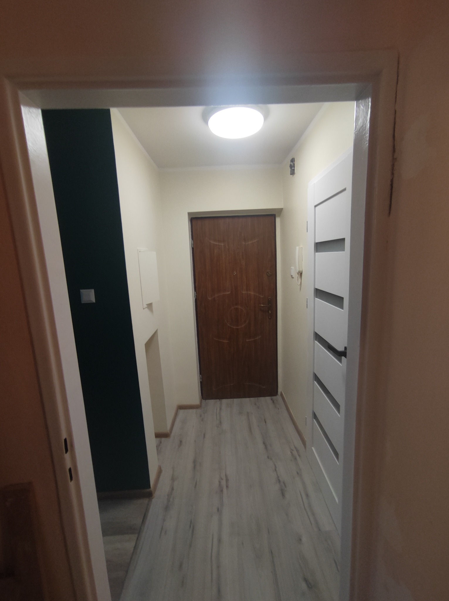 Korytarz po remoncie: szare panele podłogowe, białe ściany z fragmentem pomalowanym na ciemny zielony kolor, brązowe drzwi wejściowe i białe drzwi wewnętrzne z poziomymi wgłębieniami.