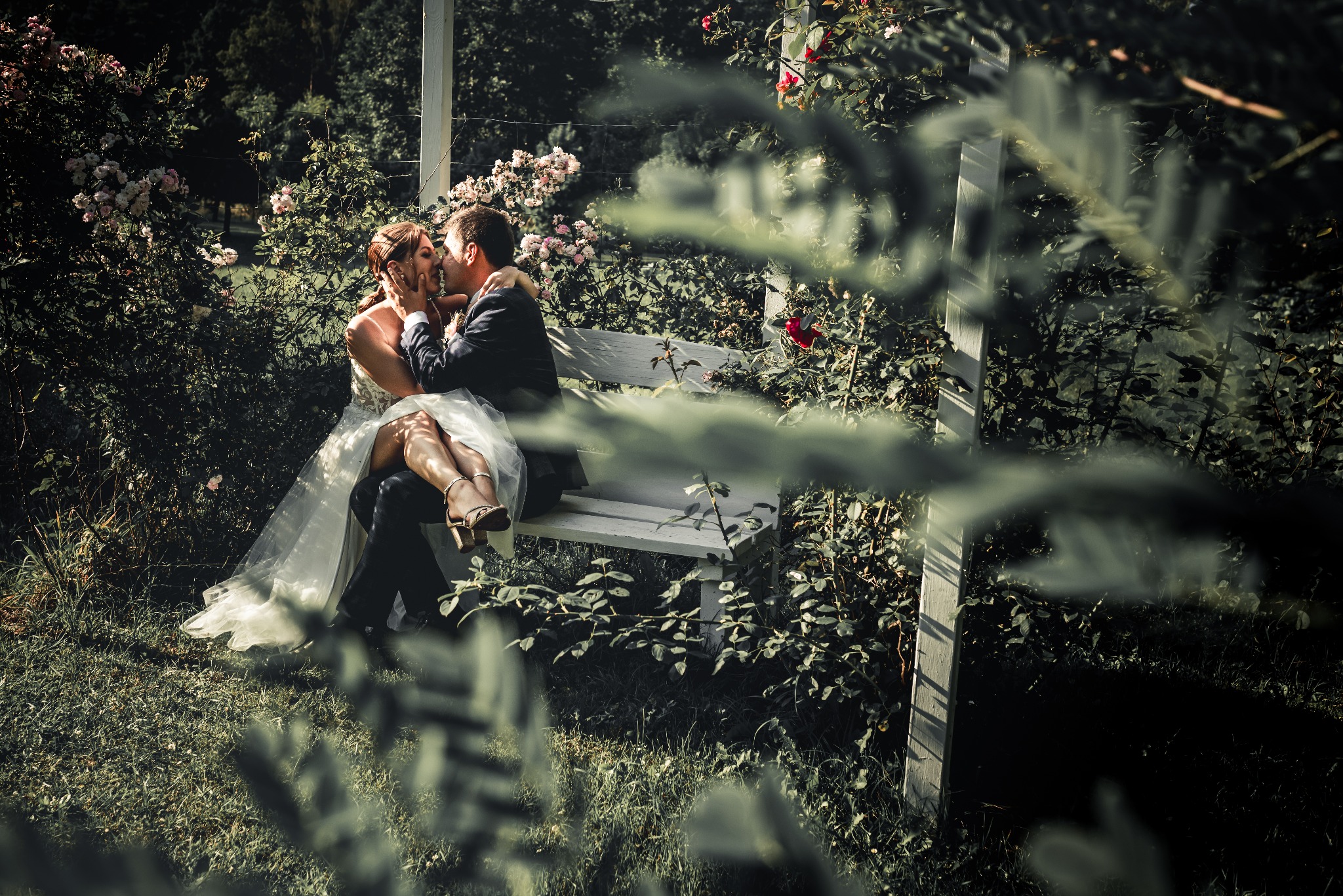 Panna młoda w koronkowej sukni siedzi na kolanach pana młodego na białej ławce, otoczeni kwitnącymi różami i zielenią, w romantycznym uścisku.