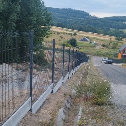 Ogrodzenia panelowe Wisznia Mała 3