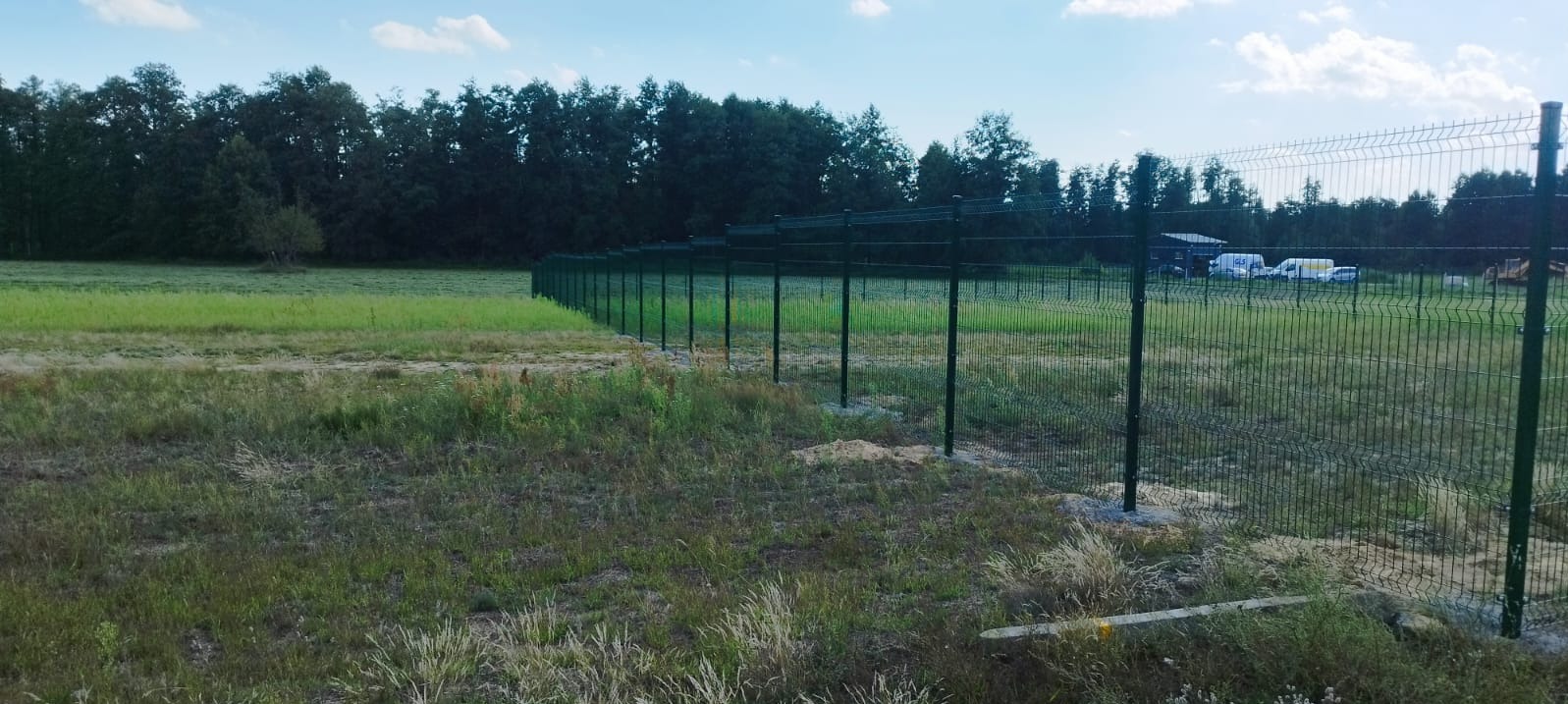 Długi, zielony płot z paneli siatkowych rozciąga się wzdłuż łąki z wysoką trawą, w tle widoczny las i budynki.
