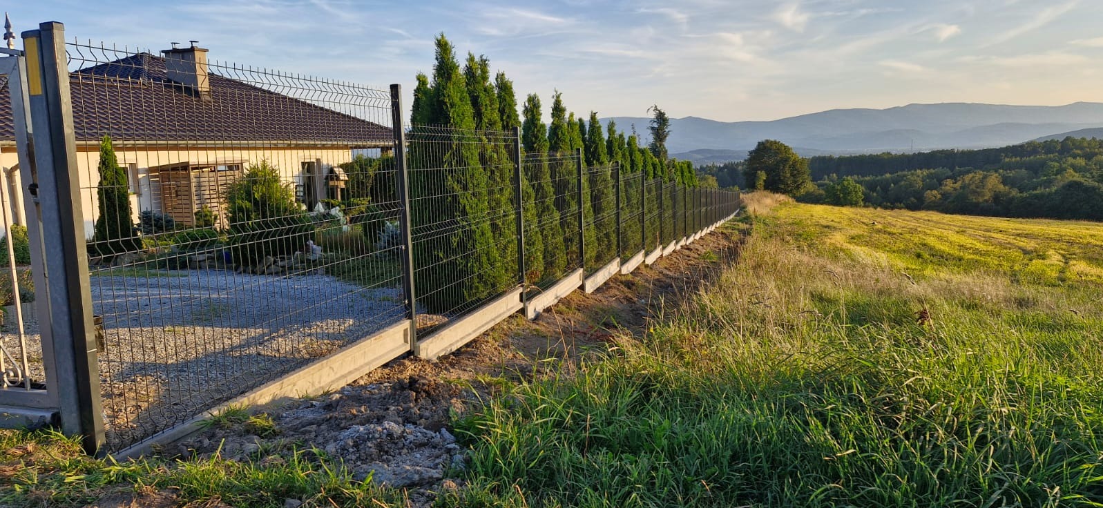 Długa linia ogrodzenia panelowego z podmurówką betonową, obsadzona tujami, oddzielająca posesję z domem od łąki z widokiem na góry w oddali.