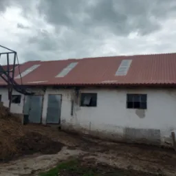 Budynek gospodarczy z nowym, brązowym dachem z trzema świetlikami, widoczny stary podajnik do siana i sterta siana na pierwszym planie.