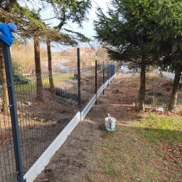 DAVI-BAU Dawid Orzechowski - Roboty Ziemne Henryk&oacute;w Lubański