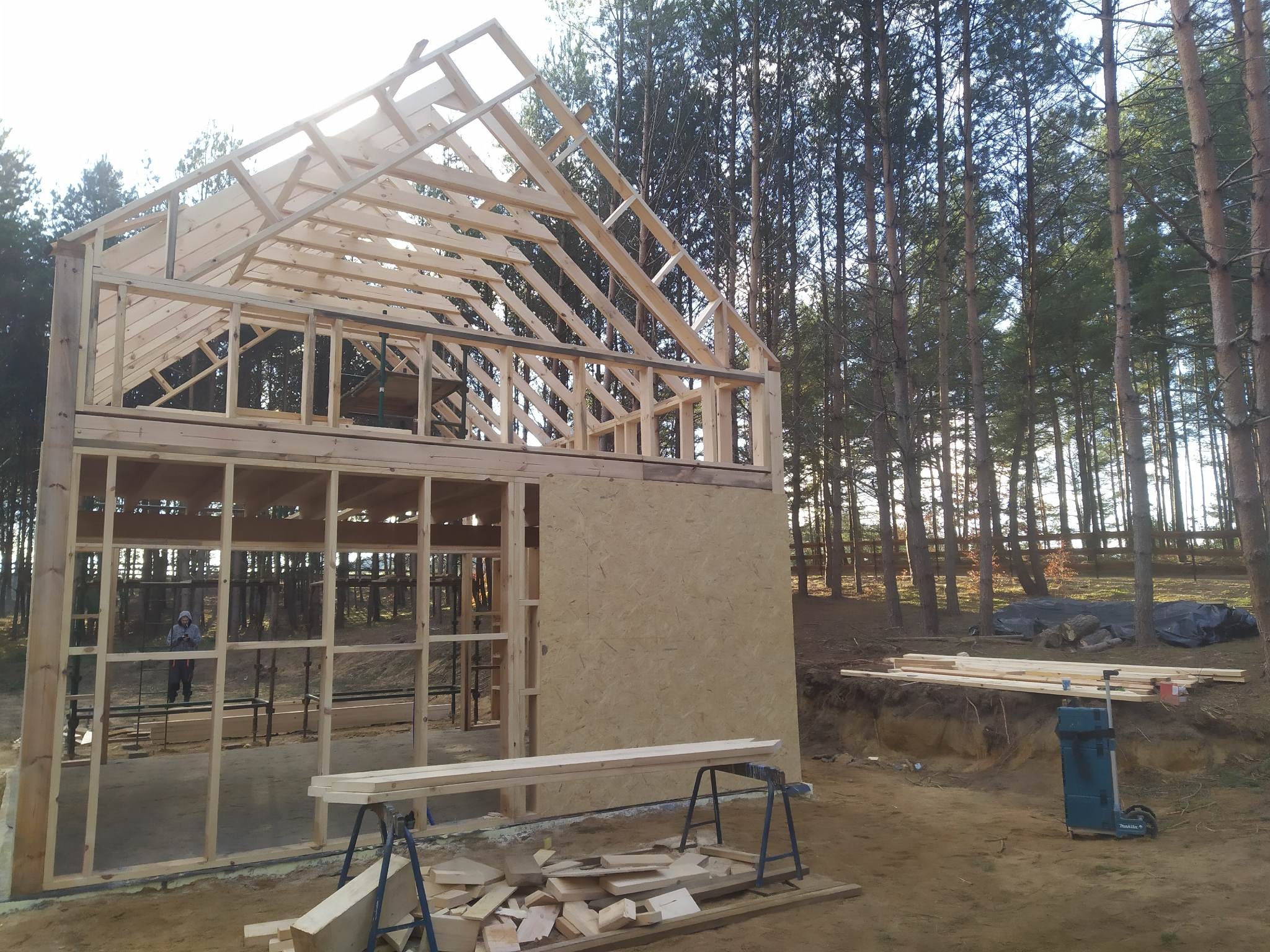 Konstrukcja szkieletowa budynku w lesie, widoczne drewniane elementy, częściowo obita płytą OSB. W tle wysokie drzewa i osoba wewnątrz konstrukcji.