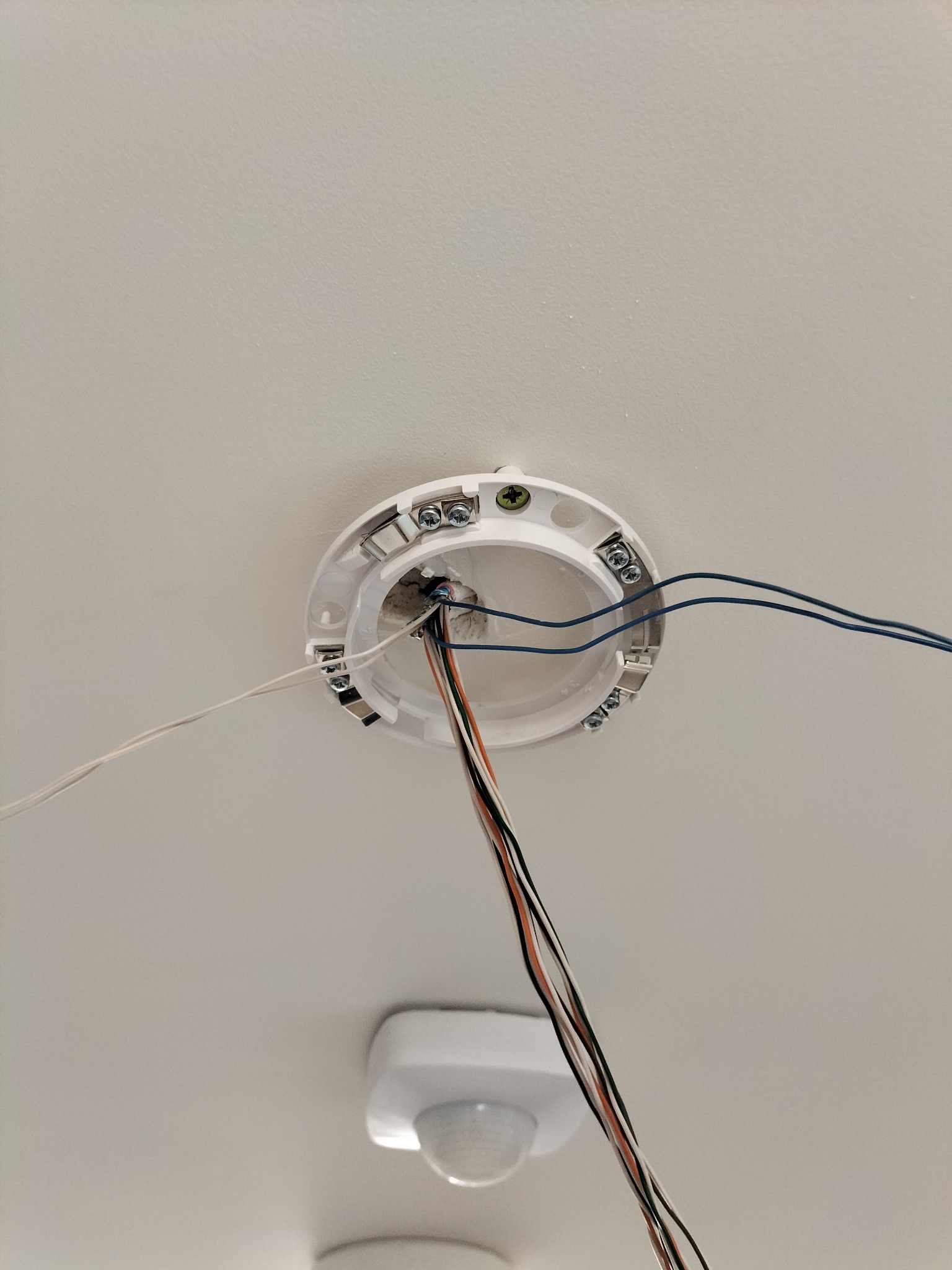 Widok z dołu na białą puszkę montażową oświetlenia sufitowego z wystającymi przewodami w kolorach: białym, niebieskim, czarnym, pomarańczowym i brązowym. Widoczny czujnik ruchu na suficie w tle.