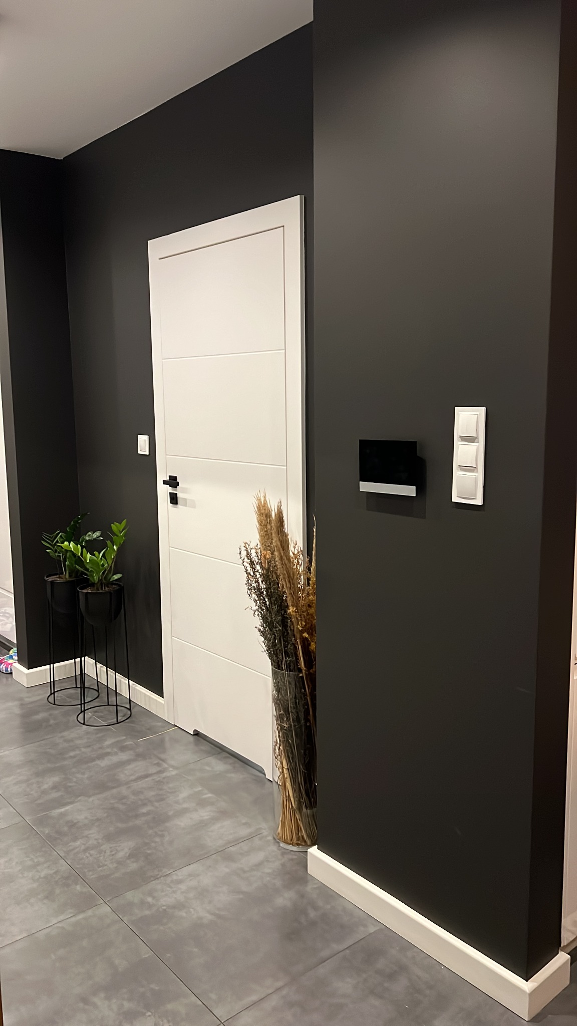 Nowoczesne wnętrze: białe drzwi z poziomymi panelami na tle grafitowej ściany, szare płytki podłogowe, dekoracyjne trawy w wazonie i minimalistyczne czarne doniczki z roślinami.