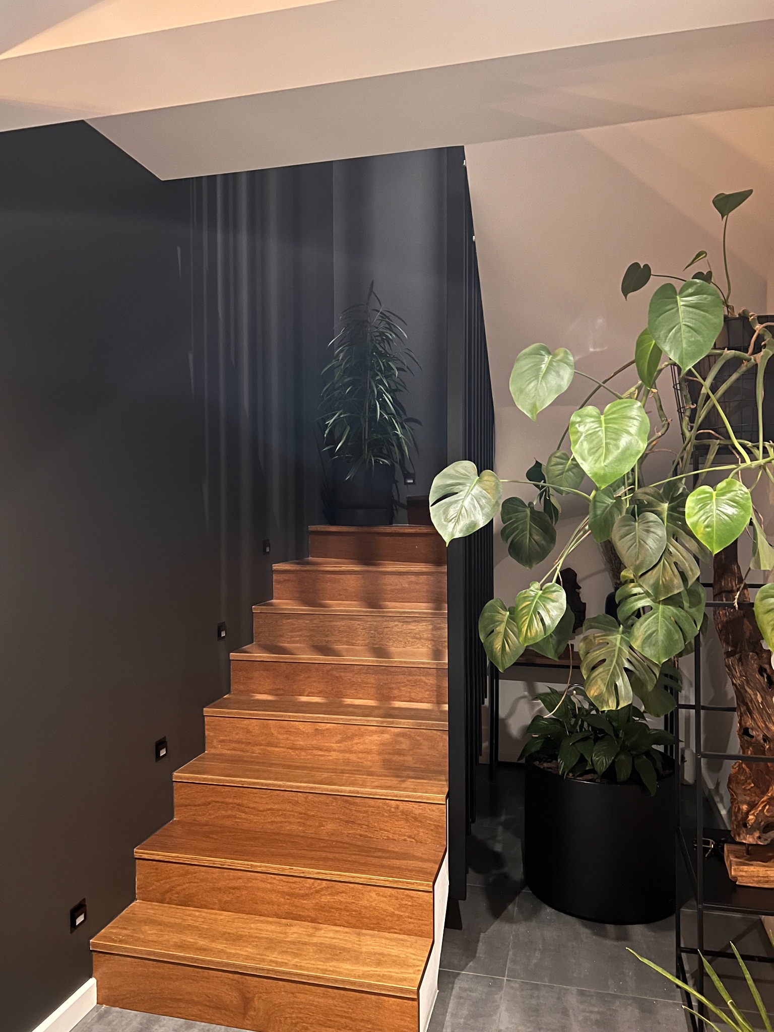 Drewniane schody z podświetleniem wzdłuż ściany w Krasnystawie, kontrastujące z ciemną ścianą i roślinami doniczkowymi, tworzące nowoczesne wnętrze.